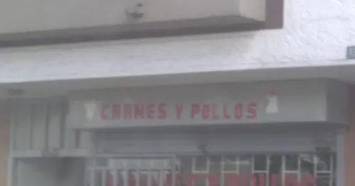CARNES Y POLLOS CARNES Y POLLOS